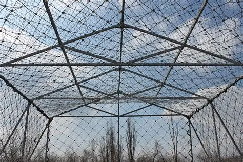 Як на Дніпропетровщині виглядає дорога з антидроновою сіткою (ВІДЕО)