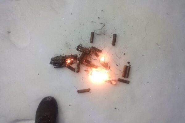 Прикордонники знищили 80 ворожих БпЛА минулої доби