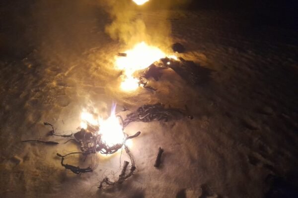 Понад 70 знищених ворожих дронів: В ДПСУ розповіли про результати бойової роботи минулої доби