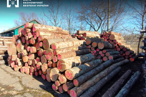 На Буковині БЕБ викрило незаконний експорт цінної деревини. Справа вже у суді