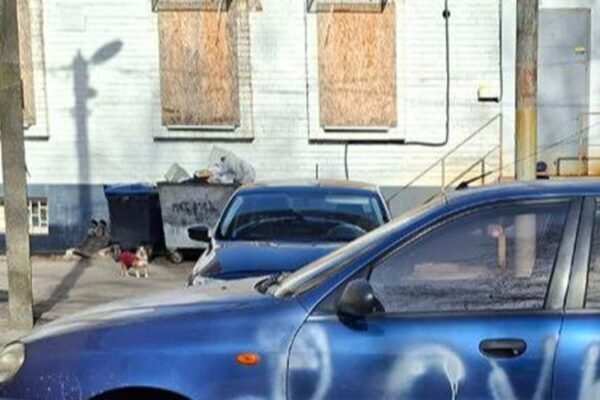 В одному з районів Дніпра автомобілі масово розмальовують нецензурними написами (ФОТО)