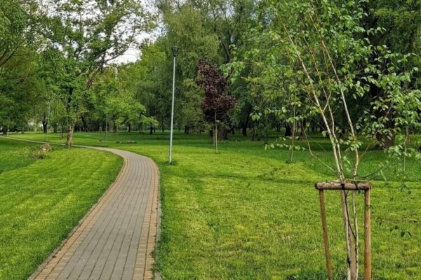 У Львівській громаді побільшає офіційних зелених зон