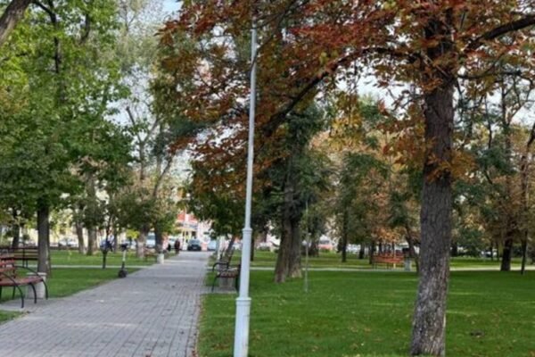 У Дніпрі на покіс трави у парках витратять понад 9 млн грн