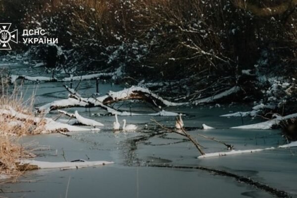 На Київщині порятунок собаки на кризі ледь не закінчився трагічно