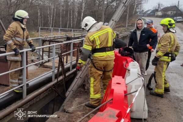 На Житомирщині бобри потрапили в пастку дамби. Їх вивільнили рятувальники
