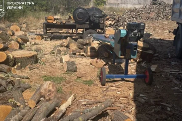 У Дніпрі невідомі спиляли під корінь 100-річні дерева (ВІДЕО)