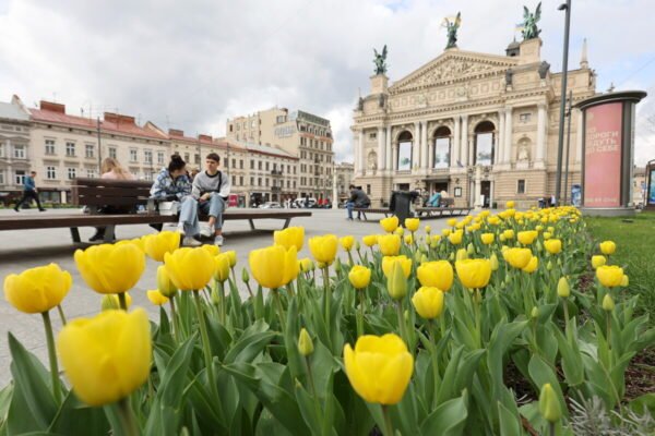 165 тисяч тюльпанів і понад 5 тисяч дерев та кущів — Львів готує найяскравішу весну за останні роки (ФОТО)