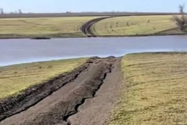 В одному з районів Дніпропетровщини раптово «ожив» ставок (ВІДЕО)