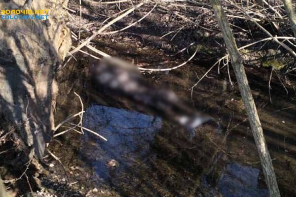 На Львівщині у водоймі знайшли мертвим військового, якого востаннє бачили 10 березня