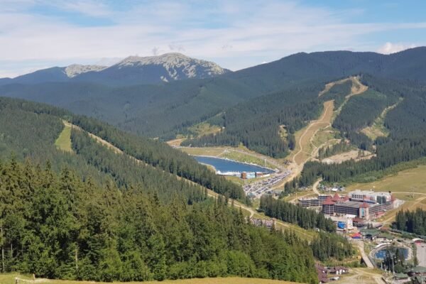 Біля Буковелю хотіли забудувати столітній ліс готелями: У власність держави повернули 20 ділянок лісового фонду