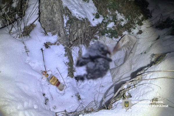 Помістив у мішок та забив до смерті: на Черкащині чоловіку повідомили про підозру за жорстоке вбивство двох собак