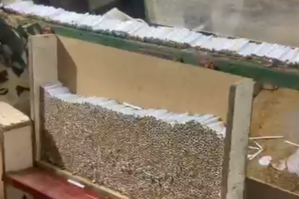 50 тисяч пачок сигарет на добу: на Черкащині ліквідували нелегальне виробництво тютюну (ФОТО)