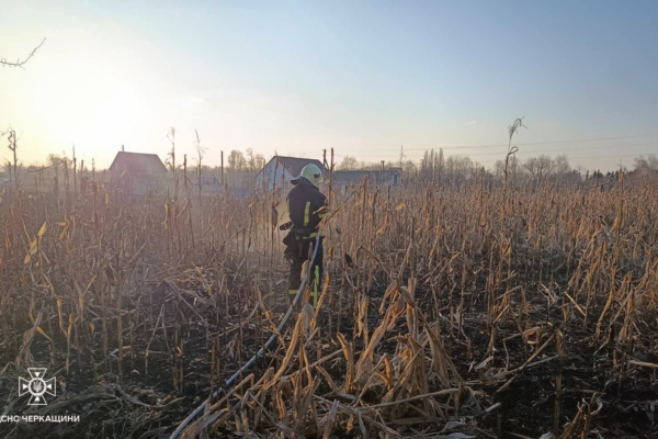 На Черкащині вигоріло понад 2 гектари сухостою через людську необережність