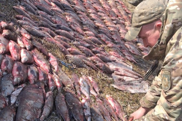 Намагалися втекти: На Черкащині спіймали браконьєрів із уловом на понад мільйон гривень (ФОТО)