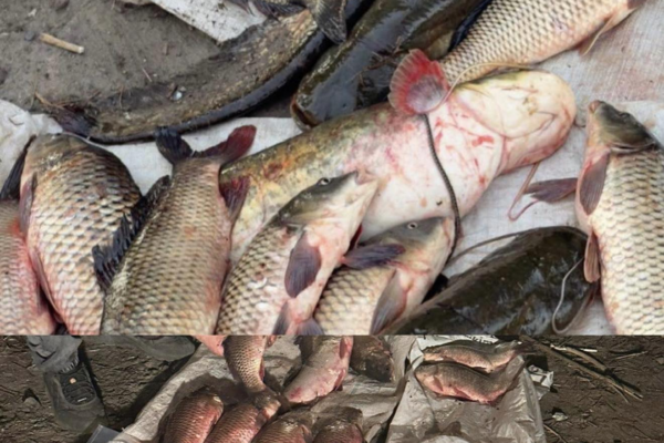 На Черкащині вчергове спіймали браконьєра з сітками: Збитків на понад 62 тис грн