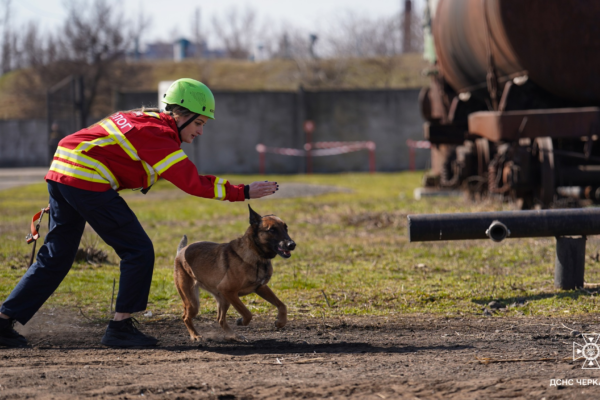 Від пошуку людей до вибухівки: у Черкасах провели масштабні навчання кінологів (ФОТО)