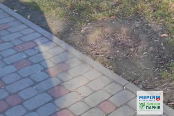 Вандалізм по-черкаськи: з парку Богдана Хмельницького вкрали сміттєву урну