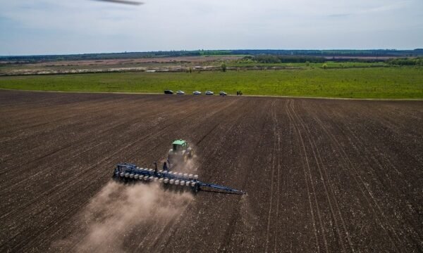 На Київщині аграрії засіяли вже понад 56 тисяч гектарів ярих культур