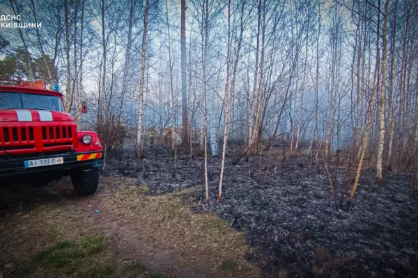 На Бучанщині за добу ліквідовано 9 пожеж в екосистемах