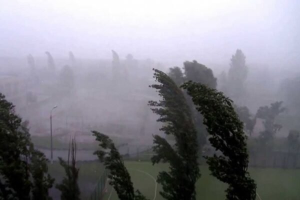 Через негоду 94 населені пункти на Львівщині залишилися без електропостачання