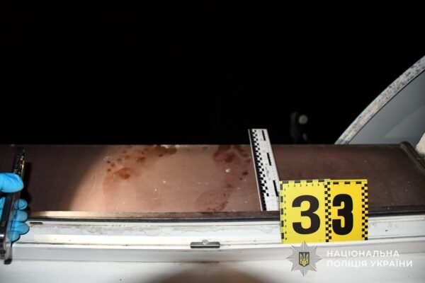 На Львівщині 33-річний чоловік убив своїх дідуся з бабусею, а потім намагався вкоротити собі віку