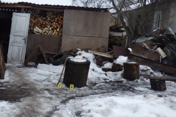 На Львівщині 39-річний чоловік отримав підозру за жорстоке вбивство кота
