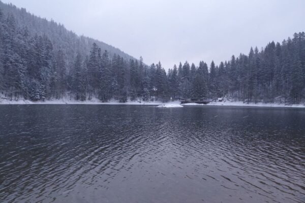 Зима у квітні: Озеро Синевир на Закарпатті засипало снігом (ФОТО)