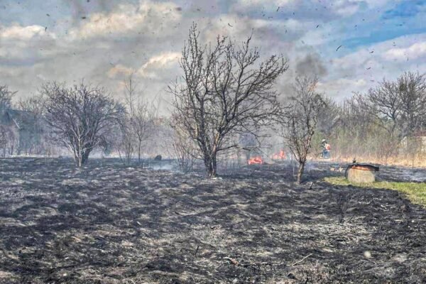 Через підпал сухої трави на Львівщині згоріли чотири дачні будинки. На згарищі виявили тіло 91-річного чоловіка (ФОТО)
