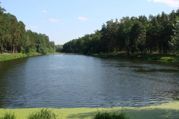 У Горенці виявили незаконний скид нечистот в озеро Карачун