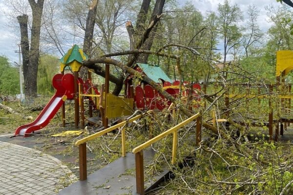 На Буковині дерева впали на дитячий майданчик: Постраждали двоє дітей