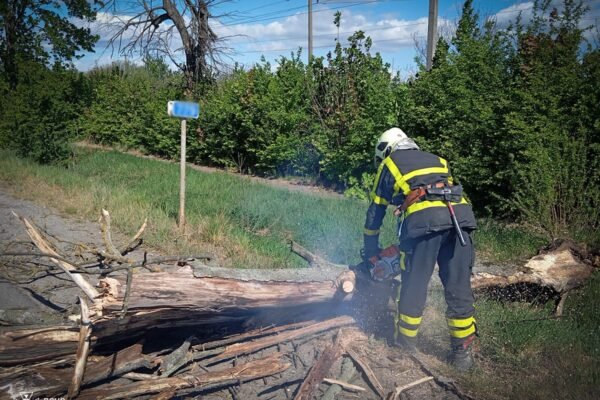 На Закарпатті внаслідок падіння дерева загинув чоловік (ФОТО)
