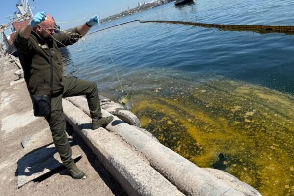 Через удар по портовій інфраструктурі на Одещині стався витік олії в море