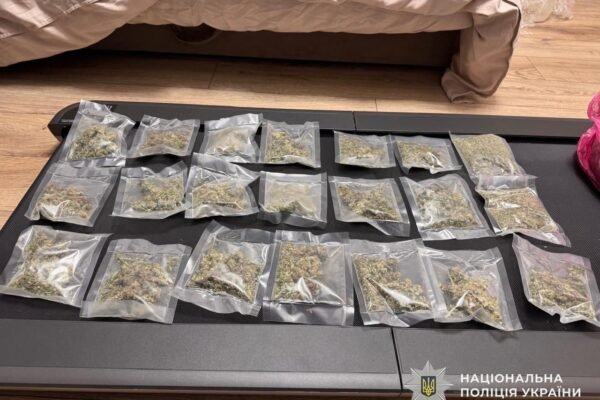 Від вирощення – до збуту: На Закарпатті викрили наркоугруповання зі щомісячним прибутком 1 млн грн