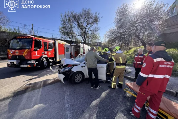 Діставали рятувальники: У Запоріжжі 71-річний пенсіонер за кермом автівки влетів у дерево (ФОТО, ВІДЕО)