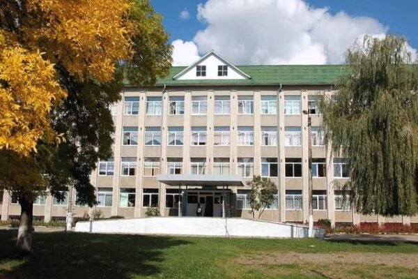 На Прикарпатті 15-річний підліток на території ліцею напився коньяку і потрапив до лікарні: Матір оштрафували