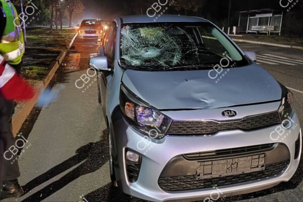 Жителька Кривого Рогу отримала за смертельну ДТП рік умовно, бо мала гарні рекомендації з ДЮСШ