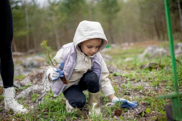 На Львівщині за один день висадили близько гектара нового лісу (ФОТО)