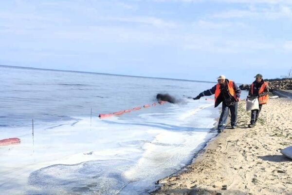Страждають птахи: На узбережжі моря в районі Чорноморська виявили забруднення (ФОТО)