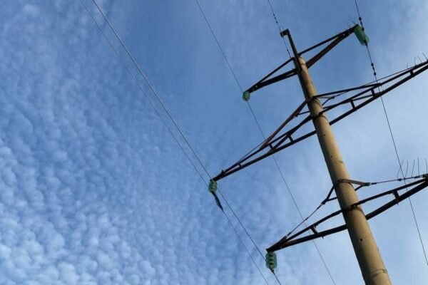 Закидала вудку і зачепила лінію електропередач: На Закарпатті від ураження струмом загинула неповнолітня