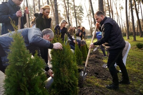 В Ірпені висадили алею туй у пам’ять про загиблих військових (ФОТО)