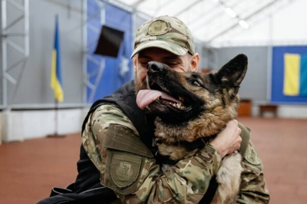 «Ми з нею разом робимо все»: Як ветеран і вівчарка Роксі служать у кінологічному центрі на Київщині