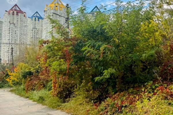 Столичній громаді повернули землю вартістю 32 млн грн – прокуратура