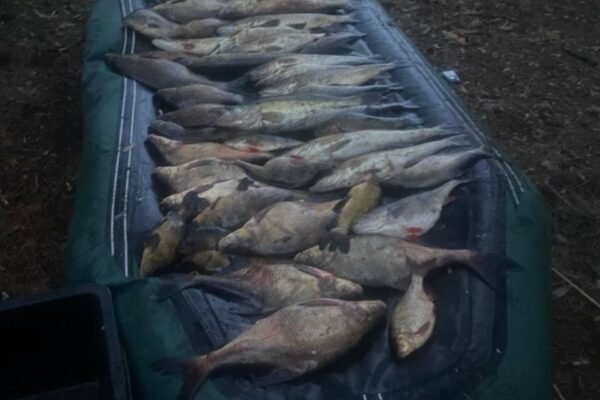 Збитки державі понад 100 тисяч грн: На Вишгородщині затримали двох  браконьєрів