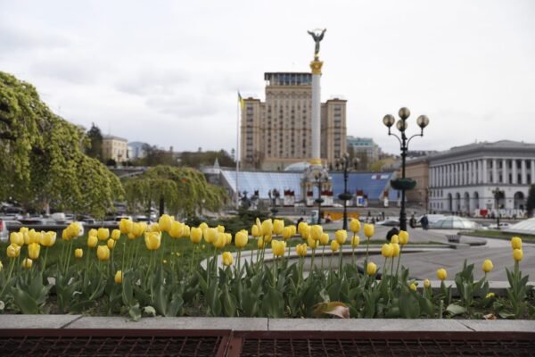У Києві стартував сезон цвітіння тюльпанів (ФОТО)