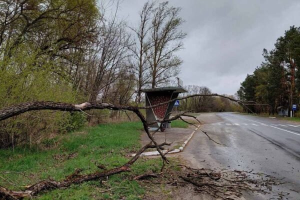 Через негоду на Київщині було знеструмлено понад 120 тисяч абонентів