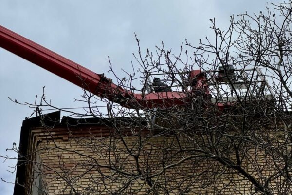 У Бучанській громаді ліквідовують наслідки шквального вітру