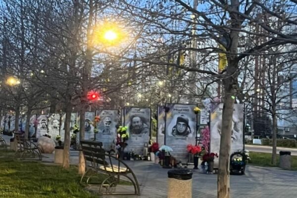 Крадіжка квітів з Алеї пам’яті Героїв: В Обухові затримали правопорушника