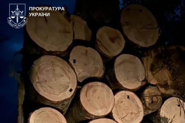 В Нацпарку на Буковині виявили незаконну рубку. Збитки мільйонні