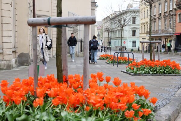 Львів розквітає: Топ найгарніших локацій з тюльпанами, сакурами та магноліями (ФОТО)