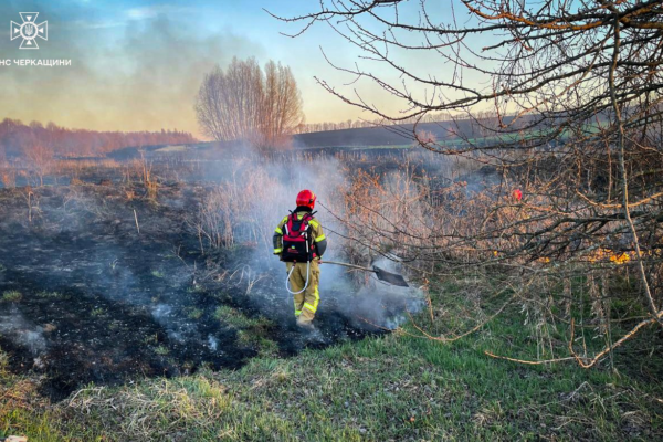 Площа як 40 футбольних полів: На Черкащині за вихідні вигоріли десятки гектарів